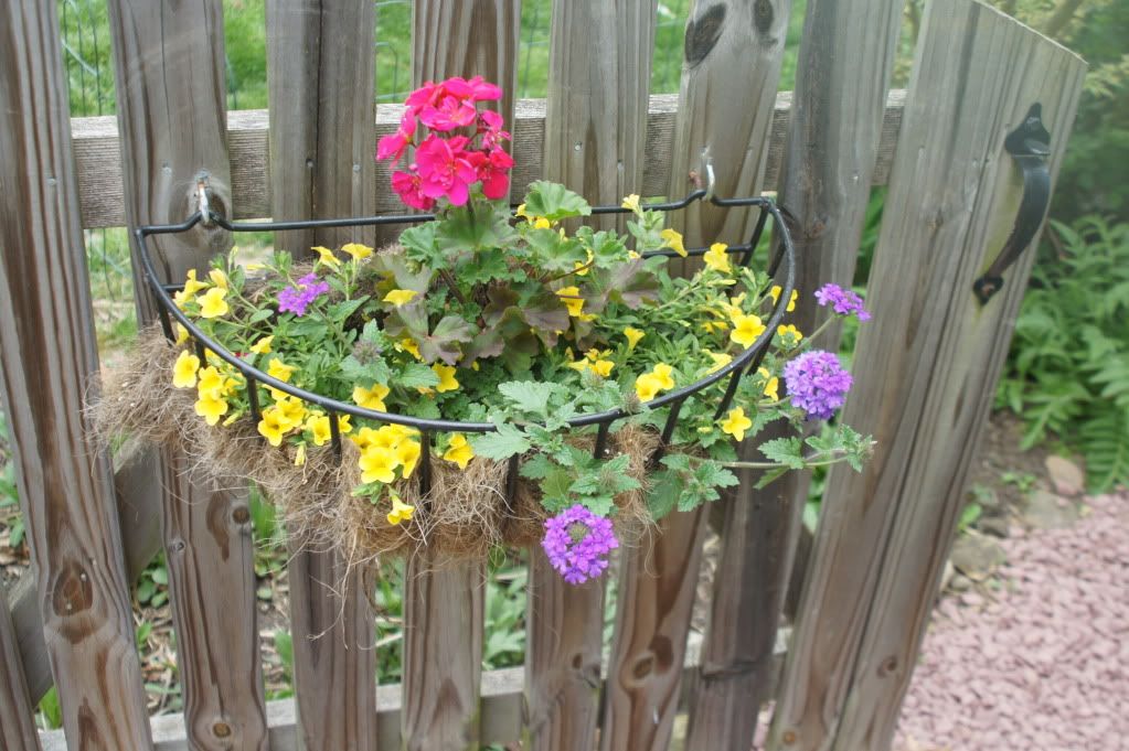 gate entry planter basket, hot pink geranium, bright yellow million bells, homestead purple verbena